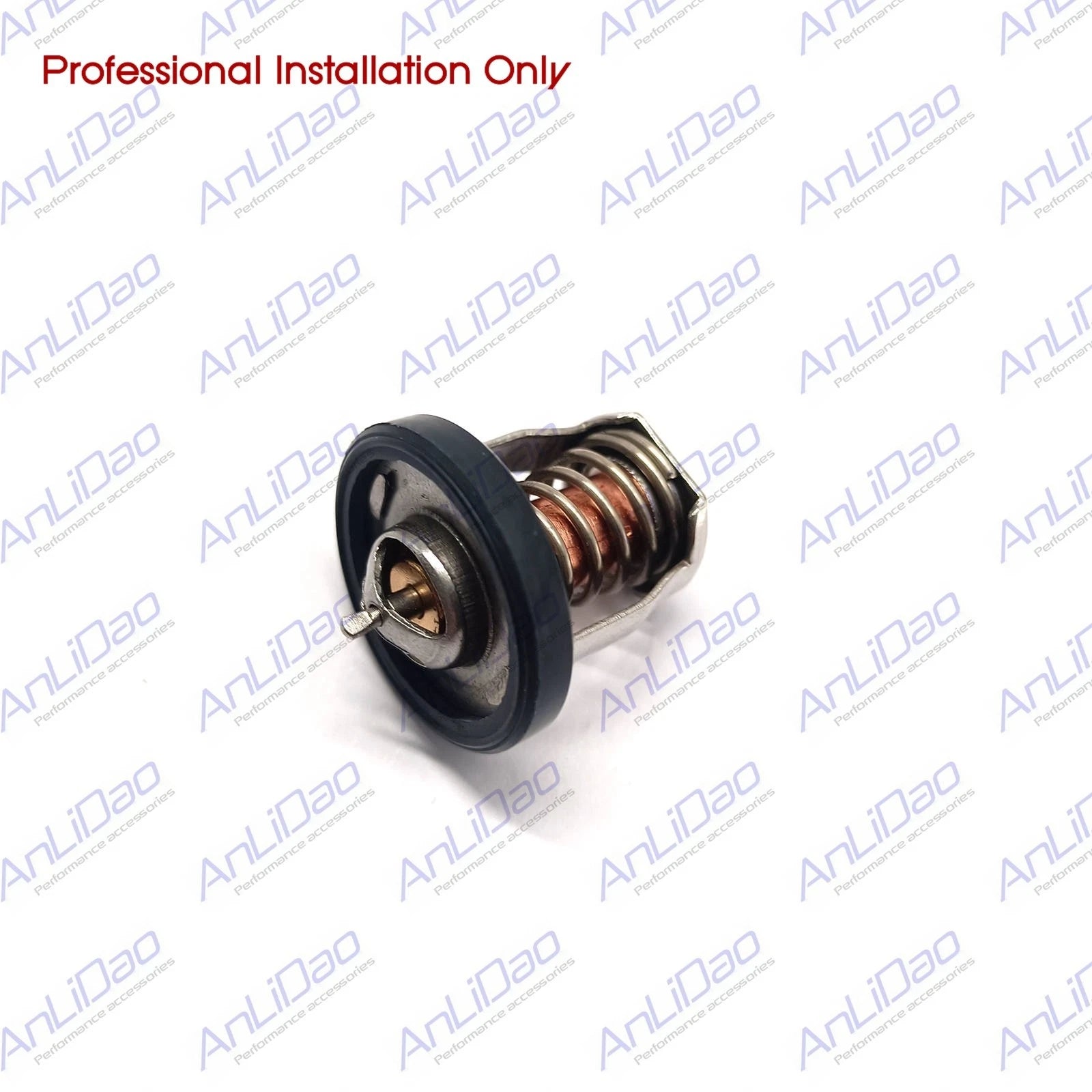 Thermostat for Suzuki OMC 2.5HP 4HP 6HP Outboard (17670-91J01, 17670-91J00, 5033385)