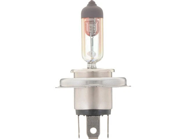 Headlight Bulb for Suzuki XL7 (2002–2006) PP422MG