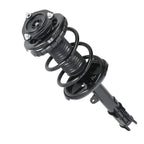 2X Front Shock Struts w/ Coil Spring Assembly for Toyota RAV4 AWD (2000–2005)
