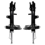 2X Rear Struts for Toyota Highlander Lexus RX330 (2004–2006) AWD
