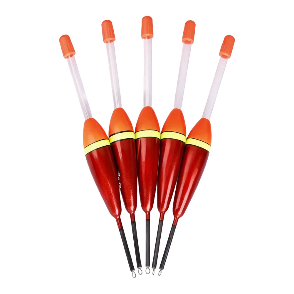 5pcs Vertical Buoy for Carp Fishing (4g, 5g, 6g)