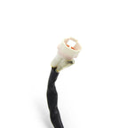 Magneto Generator Stator Coil for Husaberg FC450 FC550 (2004–2005) 59039004000