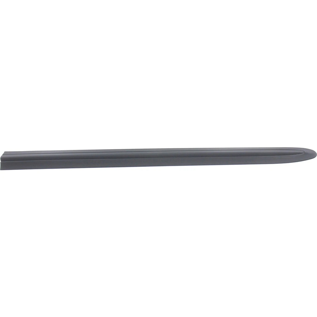 Set of 2 Door Molding and Beltlines for Dodge Grand Caravan (2002–2004)