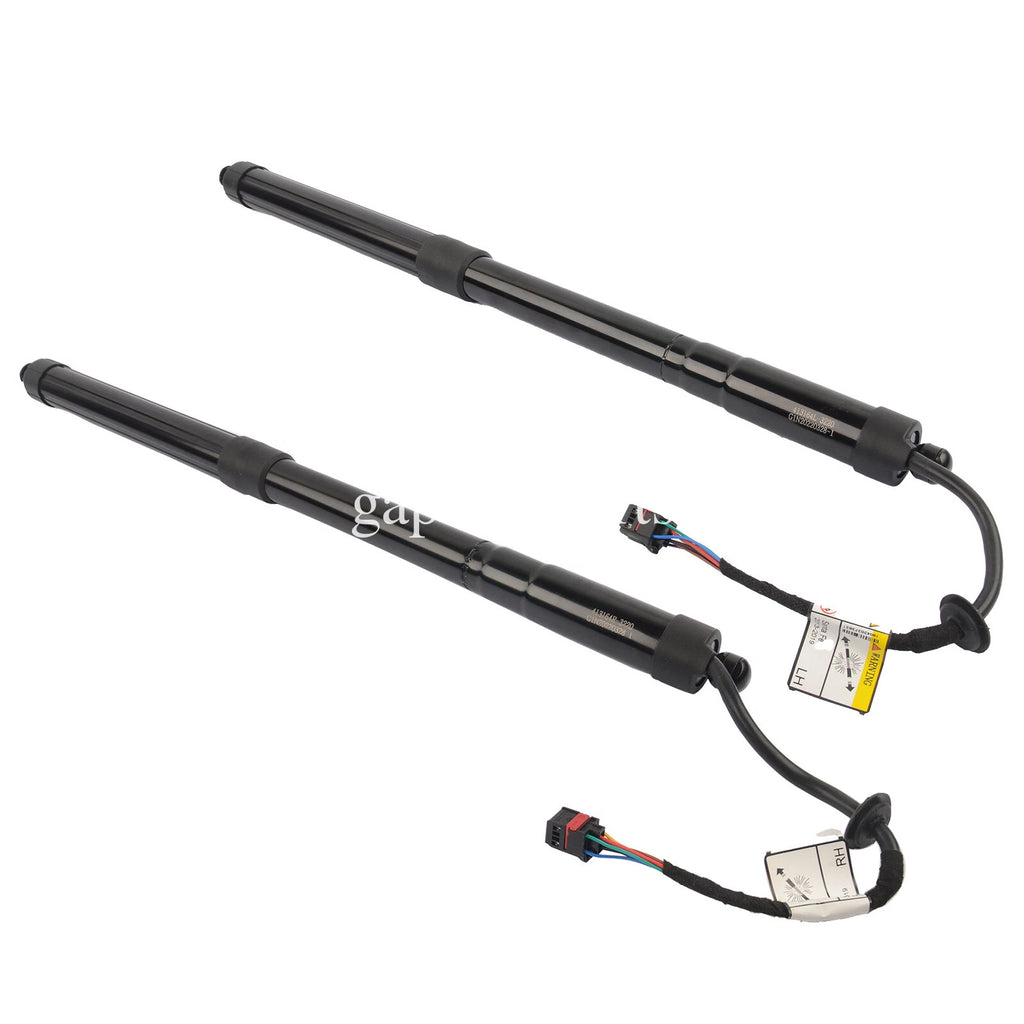 Set of 2 Tailgate Lift Supports for Hyundai Santa Fe (2013–2019)