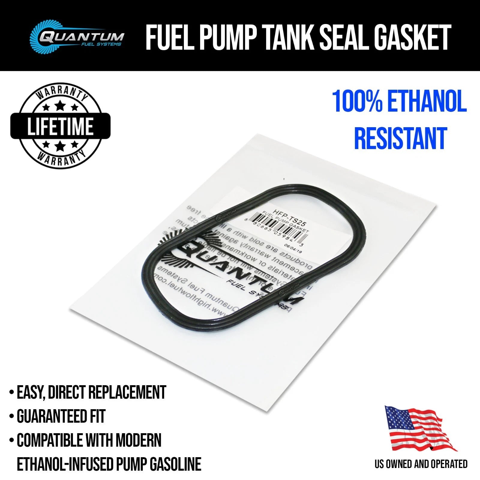 EFI Fuel Pump + Tank Seal + Strainer for Harley-Davidson (2015–2020)