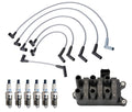Set of 6 Denso Ignition Coil Wire & Double Platinum Spark Plugs for Ford Mercury