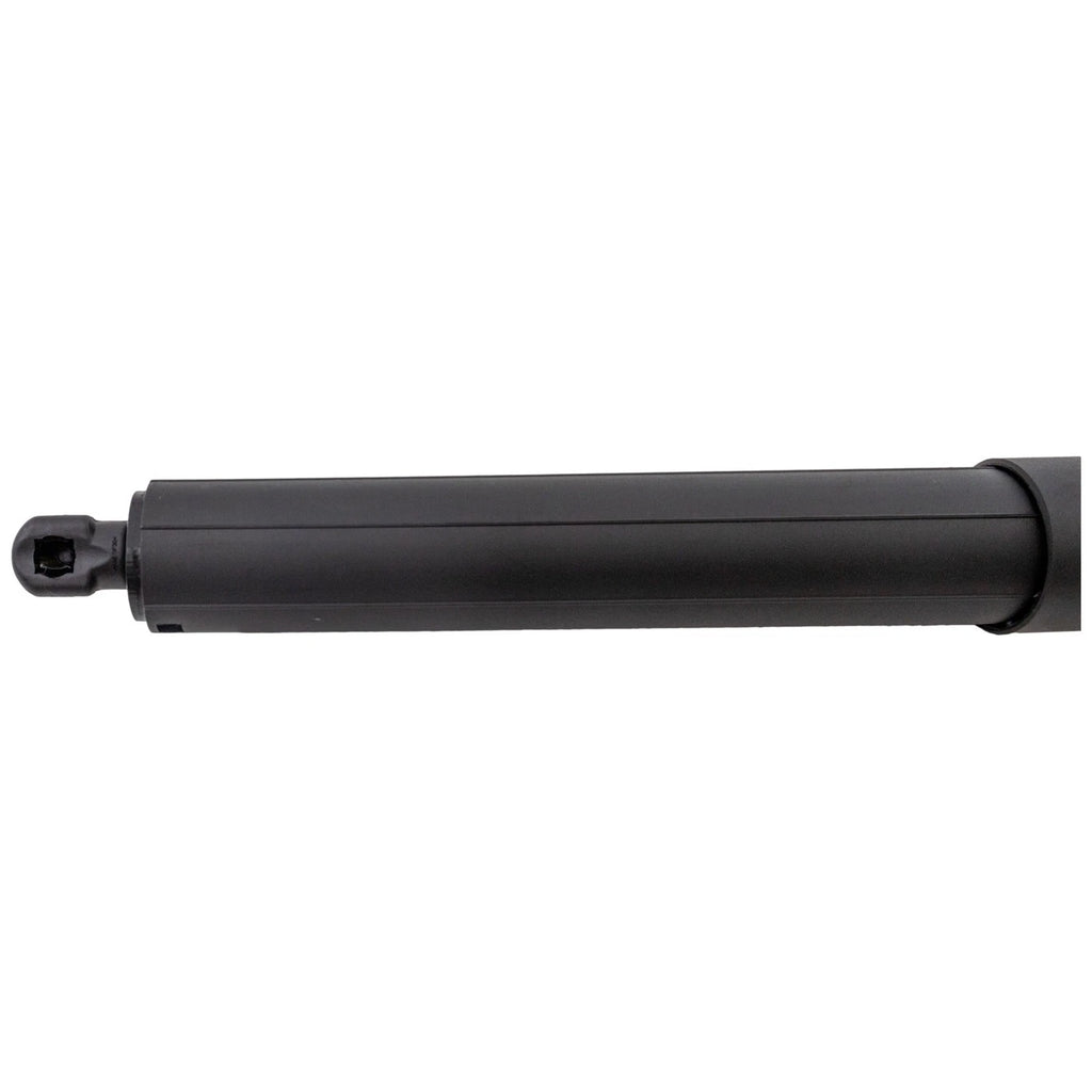 Liftgate Lift Supports for Ford Explorer (2015)