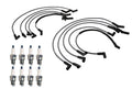 Denso 8mm Wire Set & 8 Iridium Spark Plugs for Ford 5.0L V8