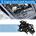 Hood Latch Assembly for Volkswagen Passat (2000–2005) No. 3BD823509A