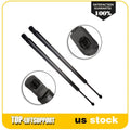 2 Liftgate Lift Supports for Chrysler Town & Country, Dodge Grand Caravan