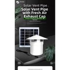 PVC Roof Exhaust Fan for Universal Applications (Low Noise, Pure Copper Motor)
