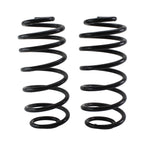 Rear Coil Spring Kit for Chevrolet Pontiac Saturn (4412158)