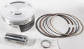 Piston Kit Armorglide 102.00/Std 11.5:1 for