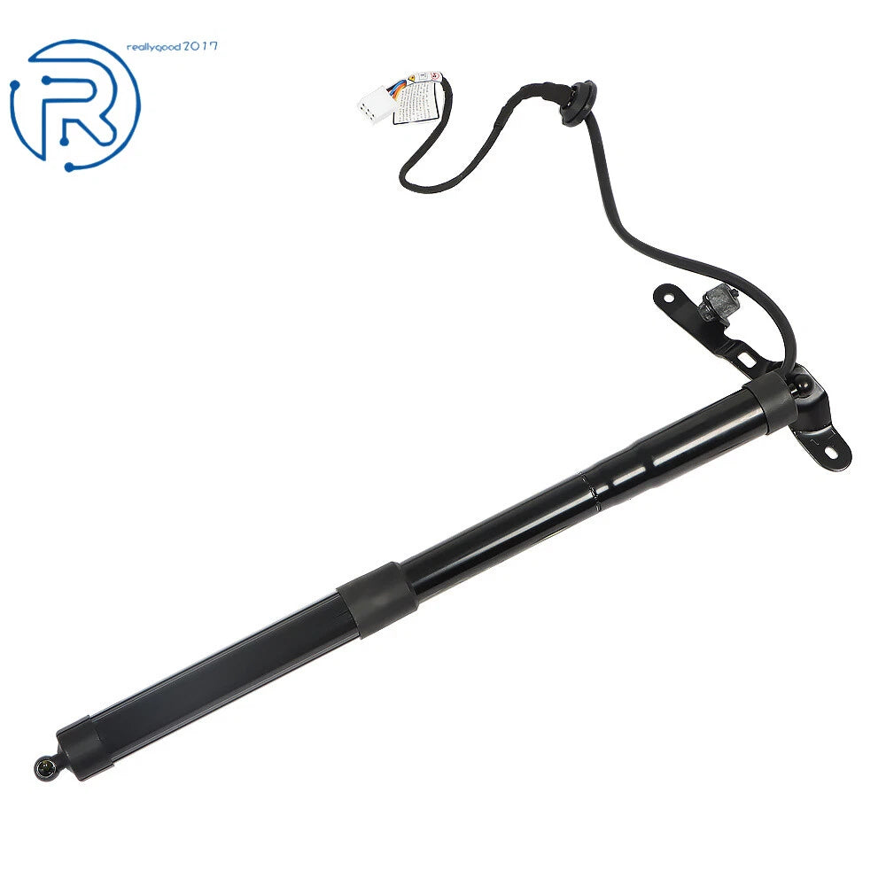 Rear Tailgate Lift Support for Toyota RAV4 (2013-2016)