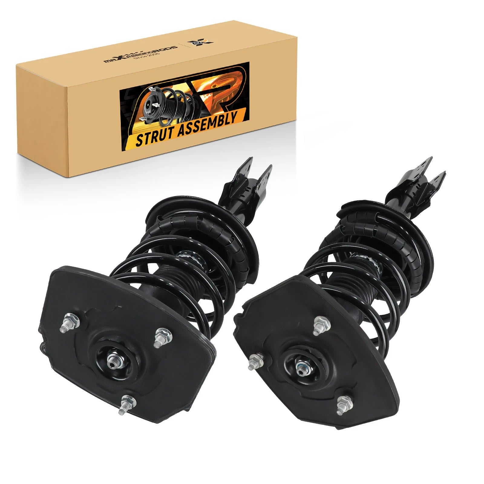 2X Rear Struts with Coil Spring Assembly for Buick Allure (2005–2008)