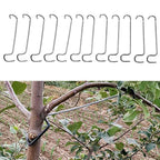 12 Piece Adjustable Branch Guide for Fruit Trees (Universal)