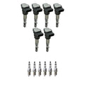 Set of 6 Ignition Coils & Iridium Spark Plugs for Audi A6 Allroad Quattro (2000–2005)