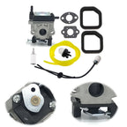 Carburetor for Vane Blowes (Model 6698373)