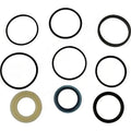 Hydraulic Cylinder Seal Kit for Kubota (1901-1231)