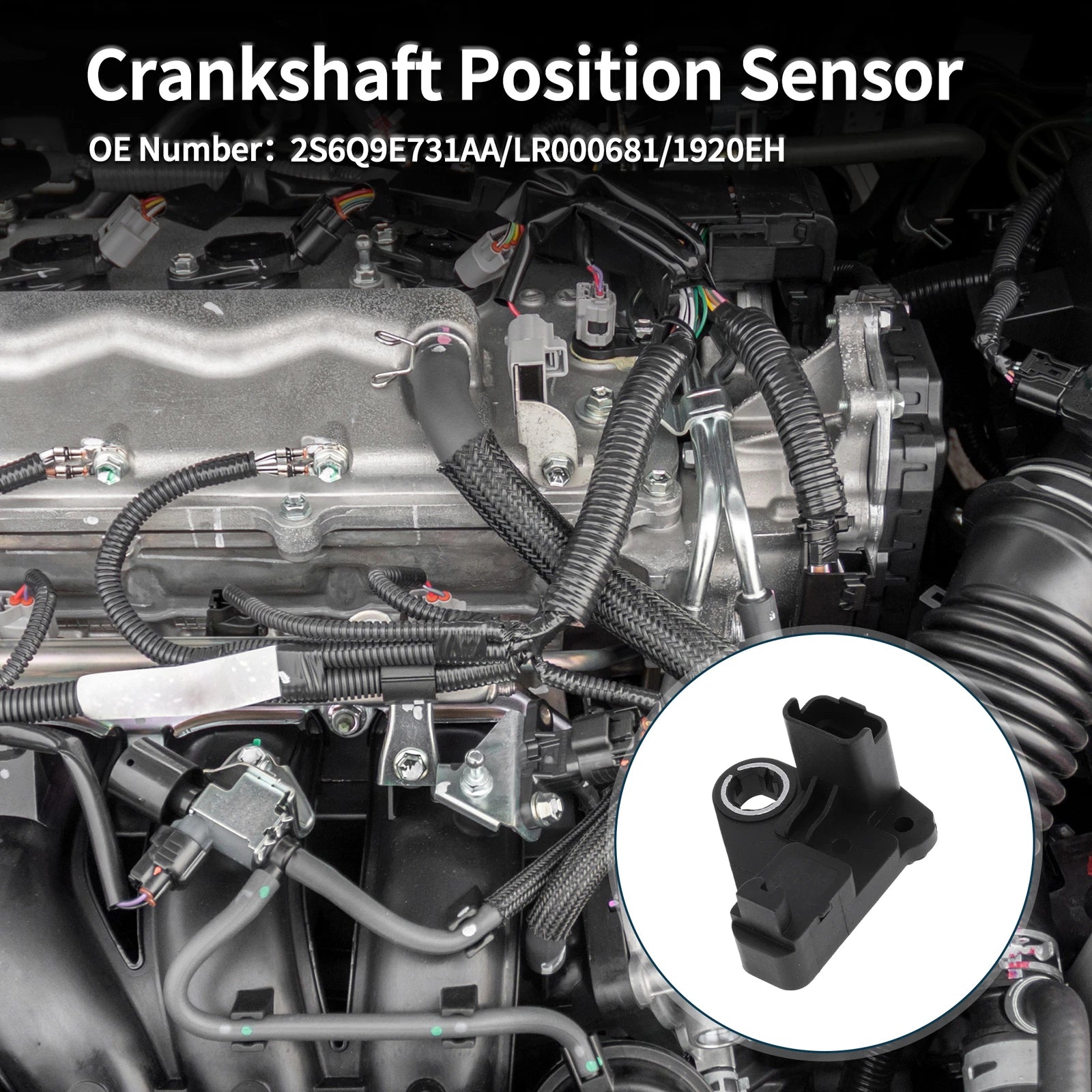 Crankshaft Position Sensor for Ford Fiesta 1.6 TDCi (2004–2008) 2S6Q9E731AA