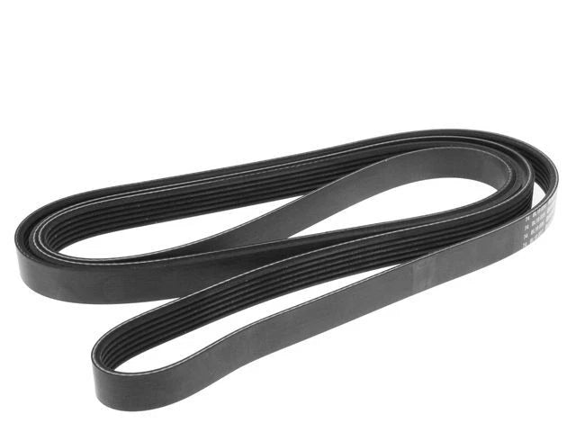 Multi Rib Belt for Jaguar S Type 3.0L V6 (2000–2008) ZR256VP