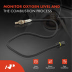 Oxygen Sensor for BMW E46 M3, Z3 3.2L (2001-2006)