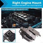 Engine Mount Right for BMW 1 F40 2 F45 F46 X1 F48 X2 F39 MINI F55 F60 (2019–2023)