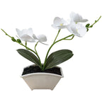 Plastic Phalaenopsis Orchid for Wedding Home Tabletop