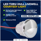 LED Boat Courtesy Lights, 1-5/16" Round, White, 316 Stainless Steel (N/A)
