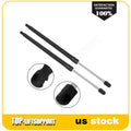 2X Liftgate Tailgate Lift Supports for Ford Flex (2009–2012)