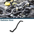 Radiator Hose for Hyundai Grandeur (TG) (2005–2010) No. 254121M000
