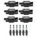 Set of 6 Denso Ignition Coils & Iridium Spark Plugs for Sierra Silverado 1500 (2014–2019)