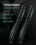 Set of 2 Rear Struts for Dodge Dakota (1987–1996) 4WD