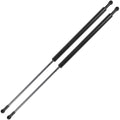 Set of 2 Rear Tailgate Lift Support Struts for Subaru Legacy Outback