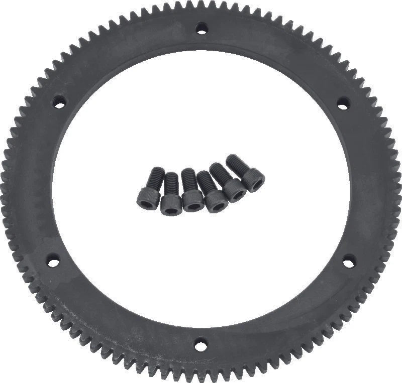 Starter Ring Gear for Big Twin 94–97 (102 Tooth)