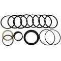Excavator Arm Cylinder Seal Kit for Case 9020B (161913A1)