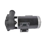 4 HP Spa Pump for Executive 56 Frame (230V, Two-Speed)