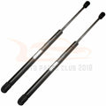2X Rear Tailgate Hatch Lift Support Strut for Jeep Patriot (2007–2016)