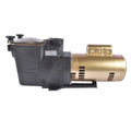 2 HP Pool Pump Motor for Super Pump (230V)