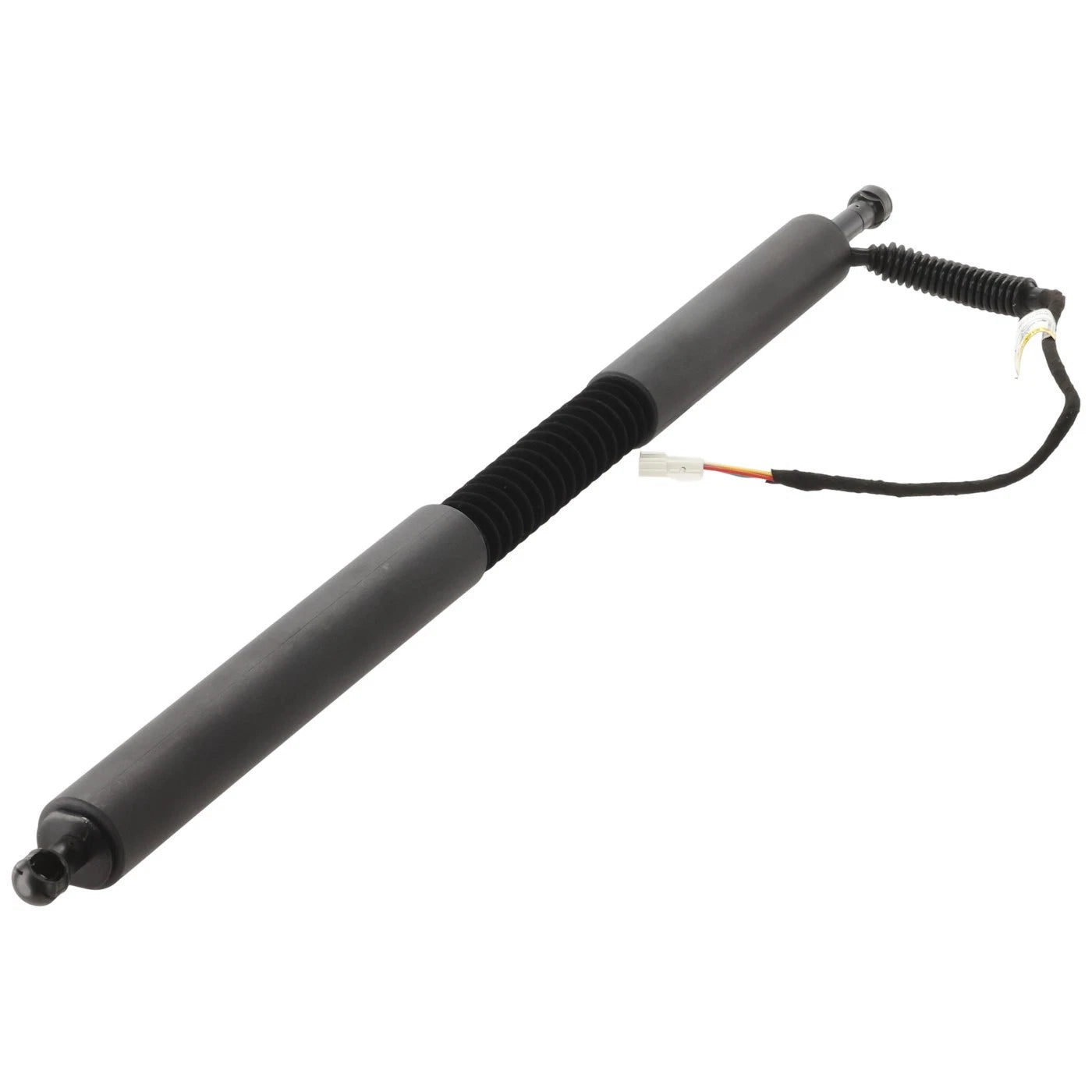 Set of 2 Liftgate Lift Supports for BMW