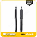 Rear Shocks & Struts for Toyota Tacoma (2005–2015)