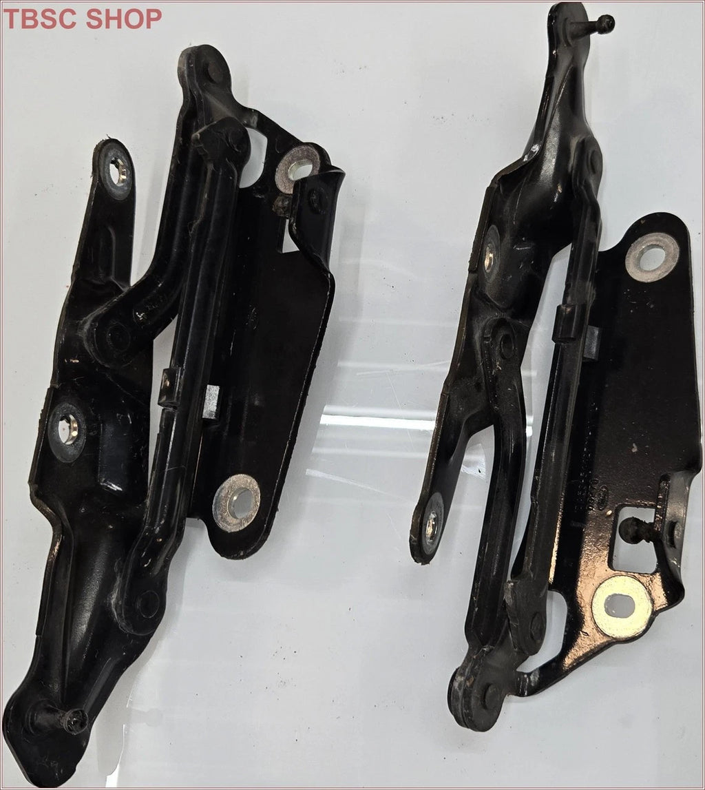 Trunk Lid Hinge Set for Ford Taurus Lincoln MKS (2008–2012)