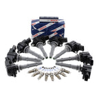Set of 8 Ignition Coils & 8 Platinum Spark Plugs for Mercedes C216 W211