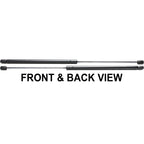 Set of 2 Trunk Lid Lift Supports for VW (LH & RH)