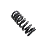 Heavy Duty Front Coil Spring Kit for Chevrolet (4114244)