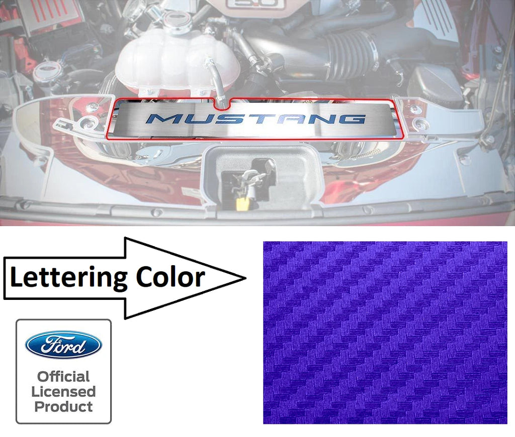 Stainless Radiator Cover Plate for Ford Mustang GT (2015–2017)