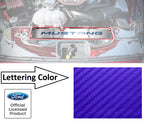 Stainless Radiator Cover Plate for Ford Mustang GT (2015–2017)