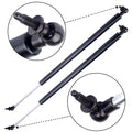 2 Rear Liftgate Lift Supports for Town & Country (2001–2007)