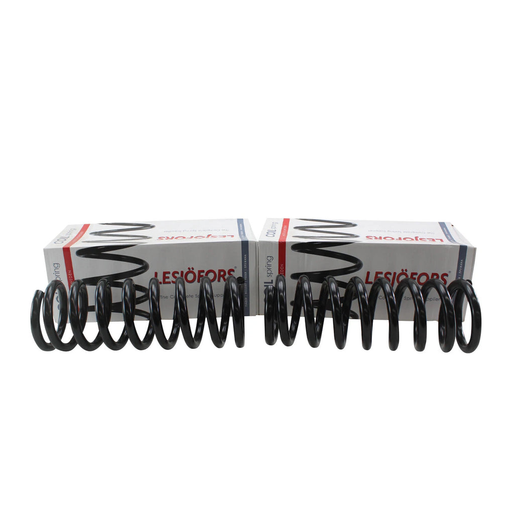 Heavy Duty Front Coil Spring Kit for Buick (4112158)