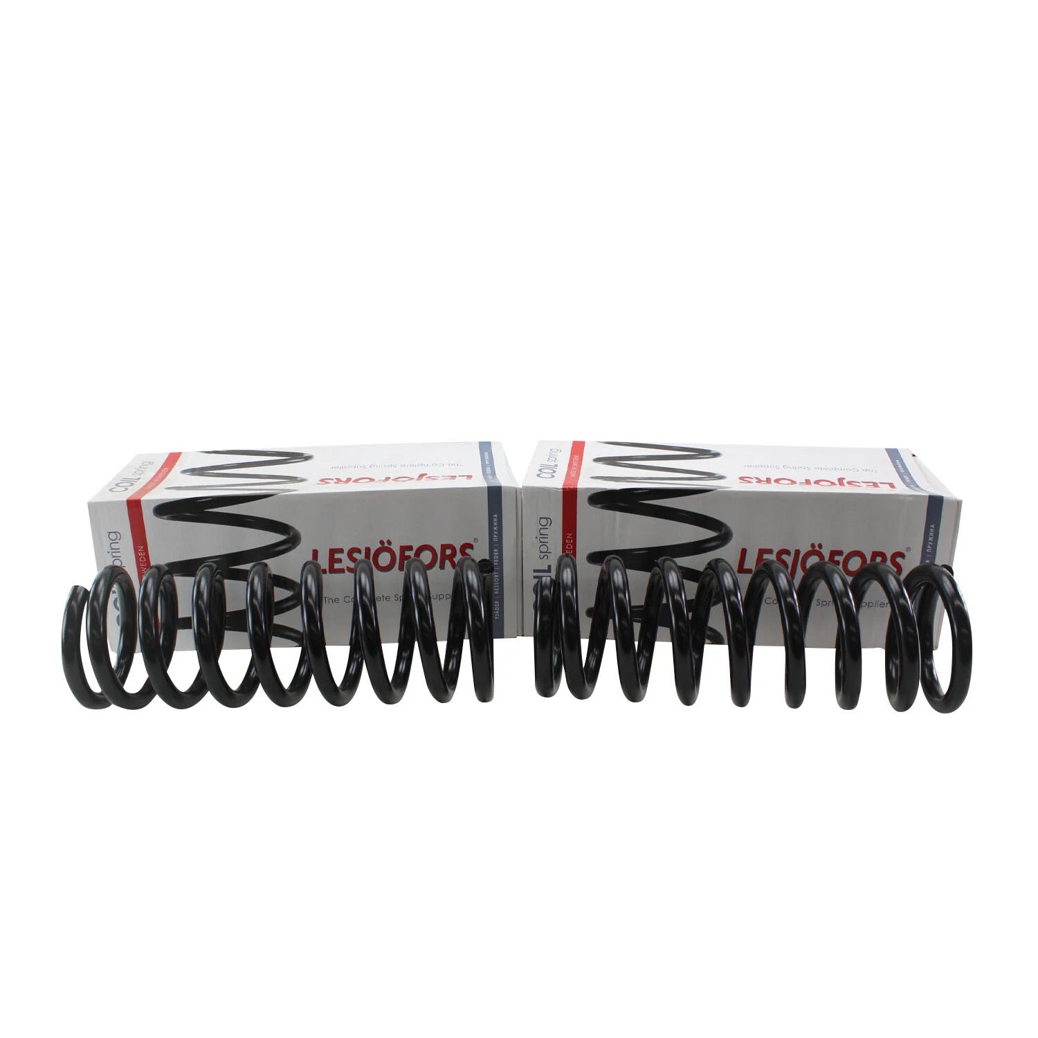 Heavy Duty Front Coil Spring Kit for Buick (4112158)